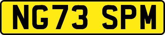 NG73SPM