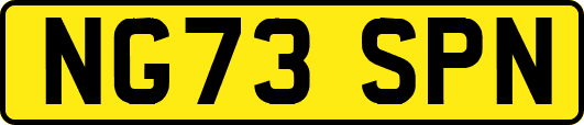 NG73SPN