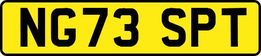 NG73SPT