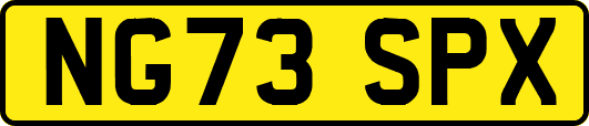 NG73SPX