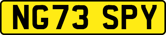 NG73SPY