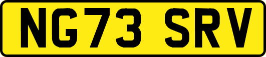 NG73SRV