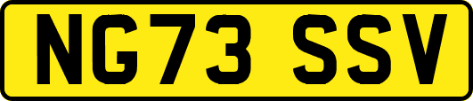 NG73SSV