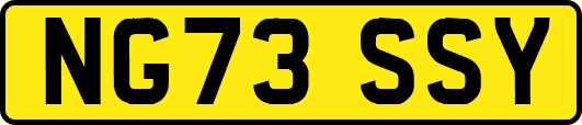 NG73SSY