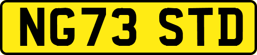 NG73STD