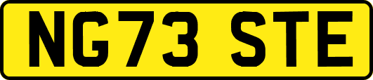 NG73STE