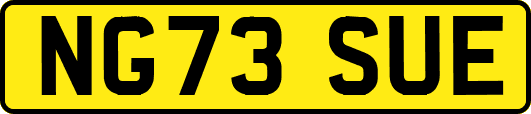 NG73SUE