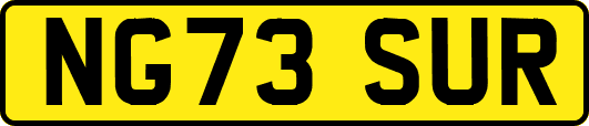 NG73SUR