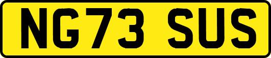 NG73SUS