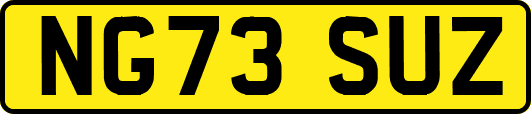 NG73SUZ