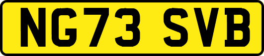 NG73SVB