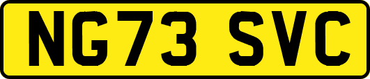NG73SVC