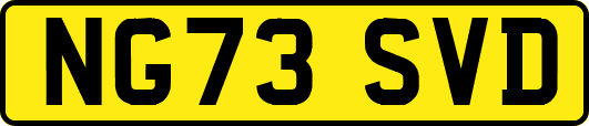 NG73SVD