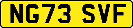 NG73SVF