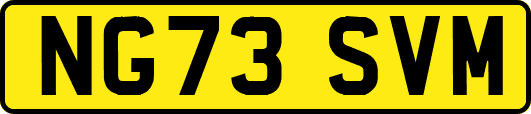 NG73SVM