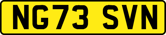 NG73SVN