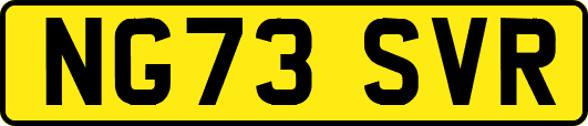 NG73SVR