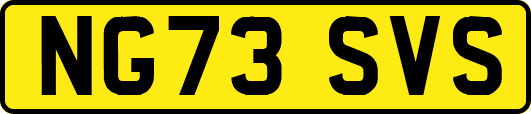 NG73SVS