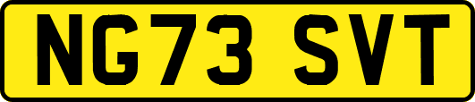 NG73SVT