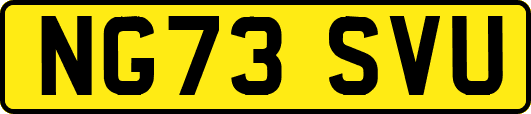 NG73SVU
