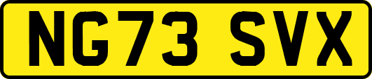 NG73SVX