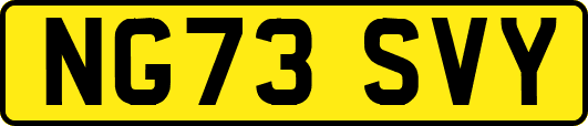NG73SVY