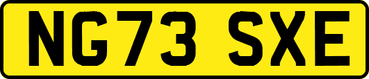 NG73SXE