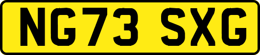 NG73SXG