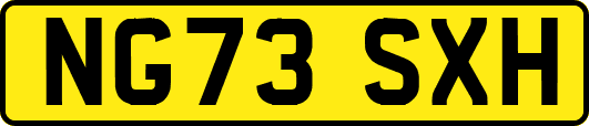 NG73SXH