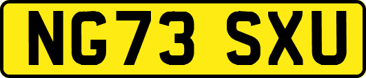 NG73SXU