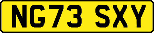 NG73SXY