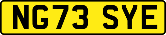 NG73SYE