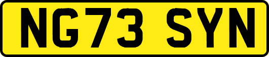 NG73SYN