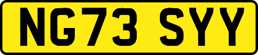 NG73SYY