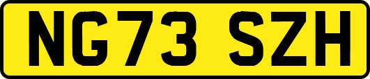 NG73SZH