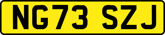 NG73SZJ