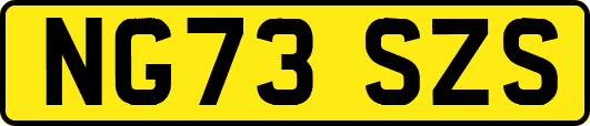 NG73SZS