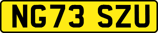 NG73SZU