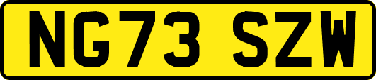 NG73SZW