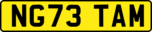 NG73TAM