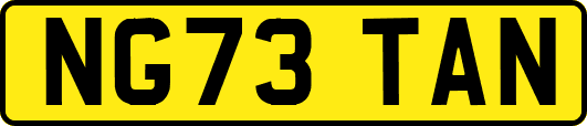 NG73TAN