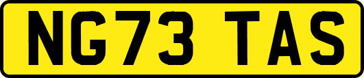NG73TAS