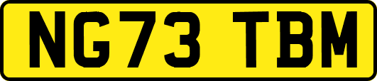 NG73TBM