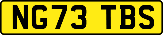 NG73TBS