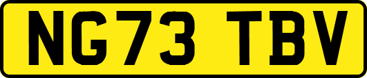 NG73TBV