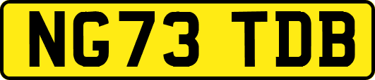 NG73TDB