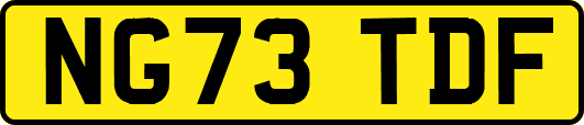 NG73TDF