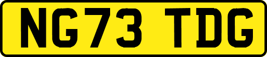 NG73TDG