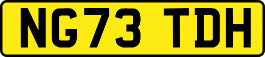 NG73TDH