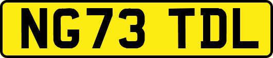 NG73TDL
